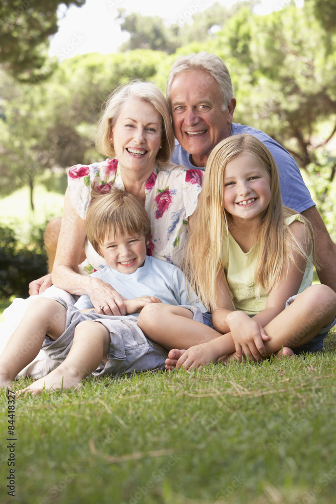 Grandparents And Grandchildren Sitting In Park Together