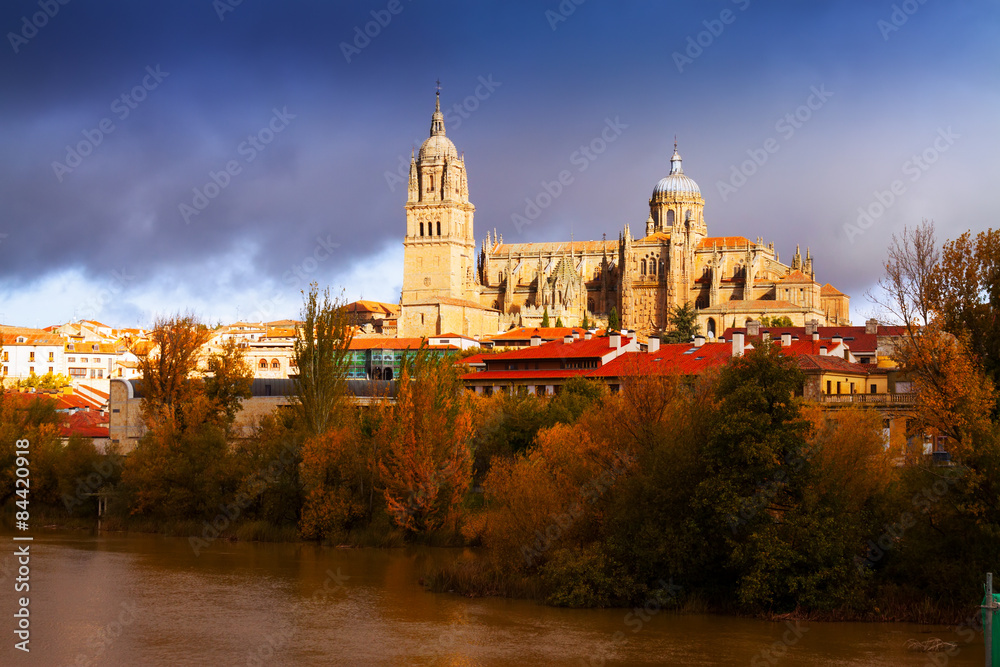  Salamanca Cathedral