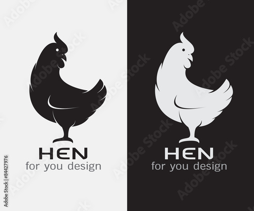 Vector image of an hen on white background and black background
