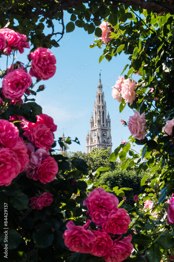 Fototapeta premium Wiener Rathaus im Frühling