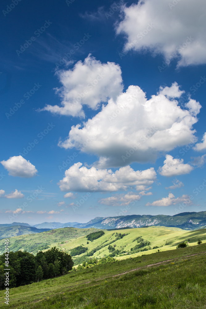 Fototapeta premium Summer landscape on the mountain