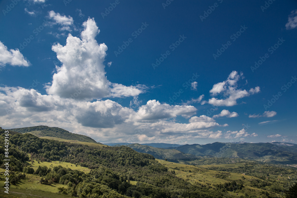 Summer landscape on the mountain
