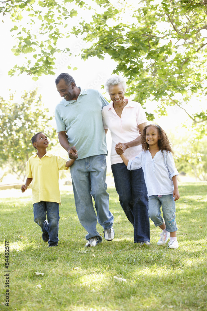African American Grandparents With Grandchildren Walking In Park African American Grandparents With Grandchildren Walking In Park