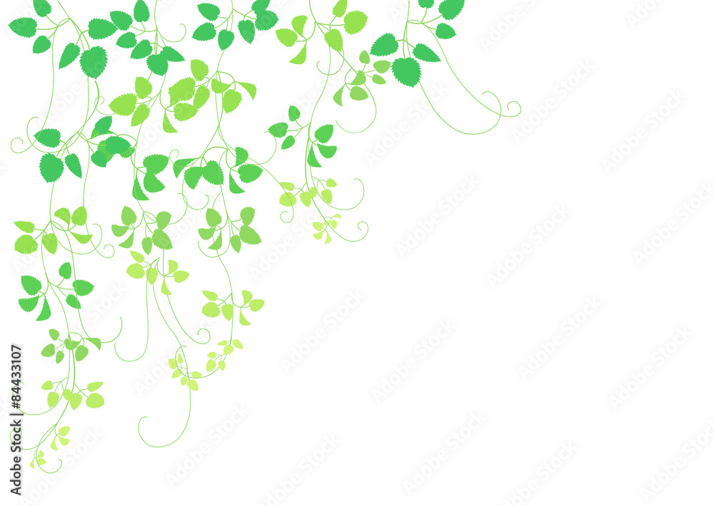 緑 つる植物 フレーム Stock Vector Adobe Stock 緑 つる植物 フレーム Stock Vector Adobe Stock