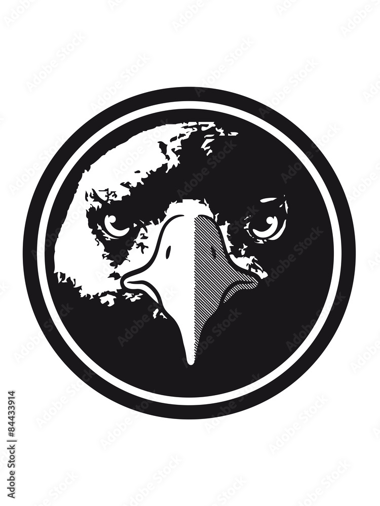Eagle Eagle head button Eagle Eagle head button