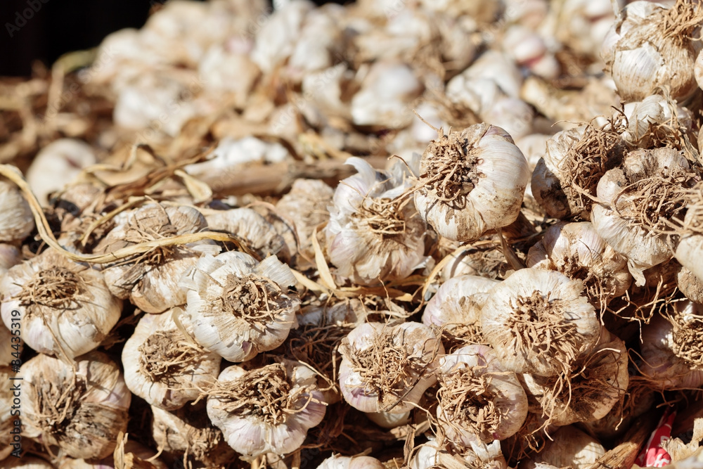 A heep of fresh garlic at a street market with selected focus,