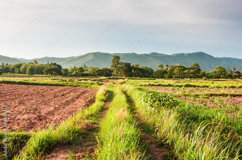 Plowed farmland with mountain background.