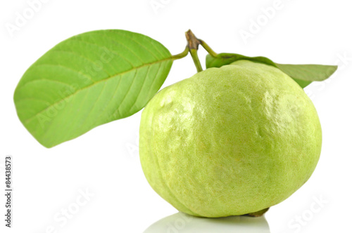 Guava fruit, Psidium sp., Family Myrtaceae, Central of Thailand