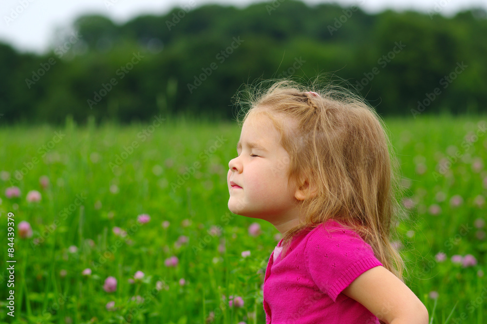girl on the meadow girl on the meadow