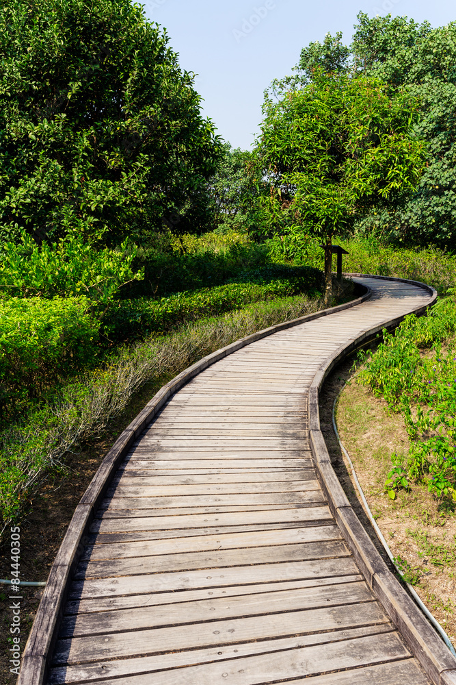 Wooden pathway though forest Wooden pathway though forest
