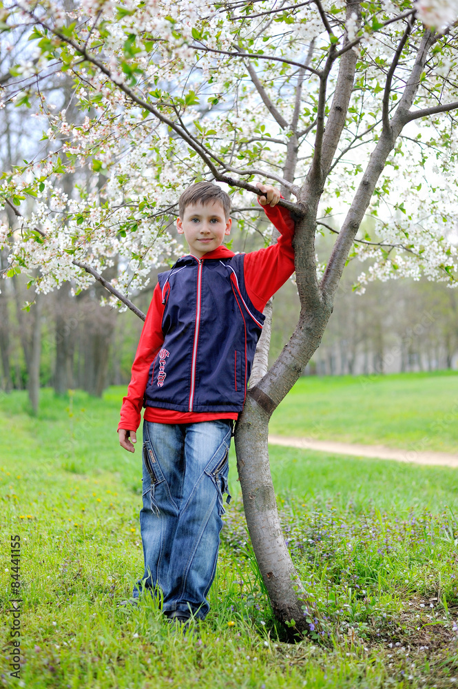 A Boy and Blossoming Cherry