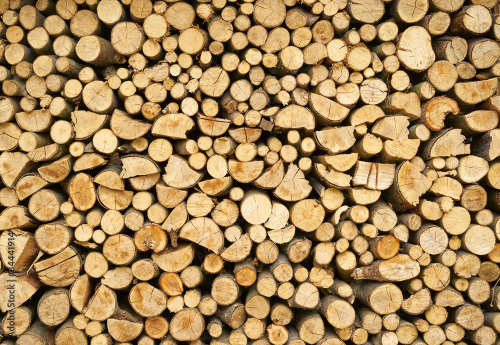 Background of dry stacked  firewood logs