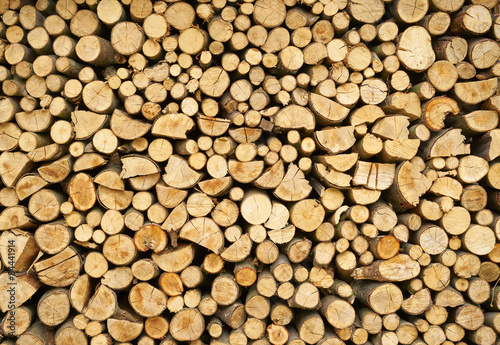 Background of dry stacked firewood logs
