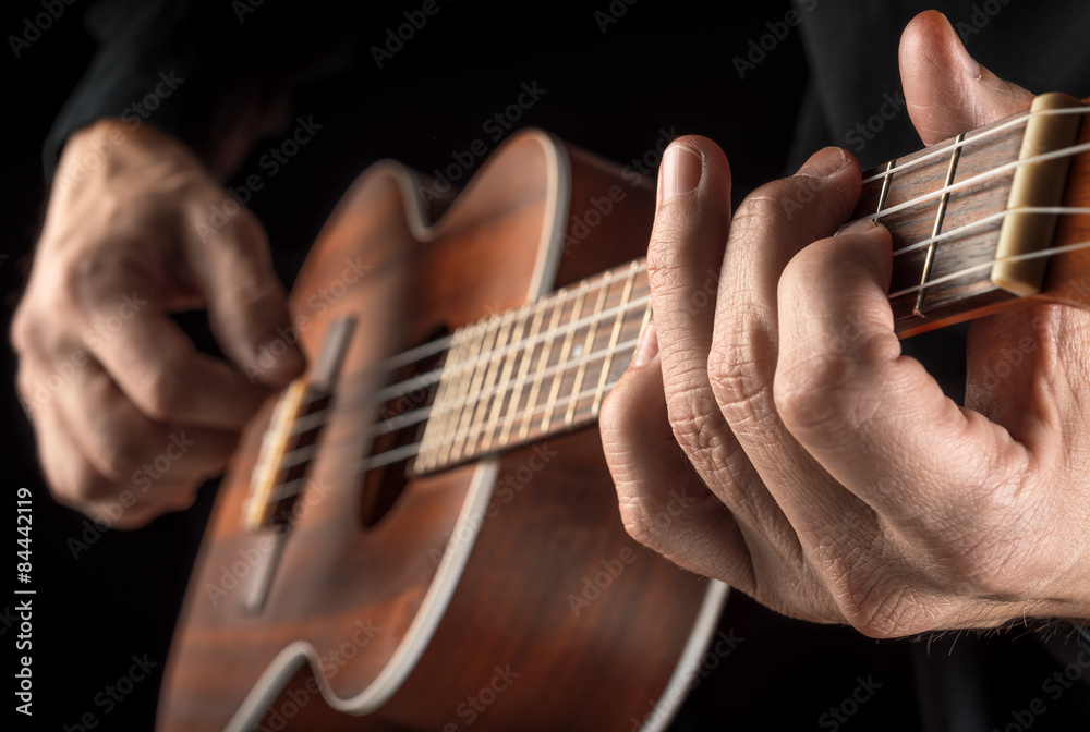 hands playing ukulele - obrazy, fototapety, plakaty 