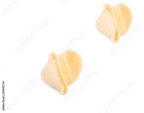 Close up of Italian pasta shells. 