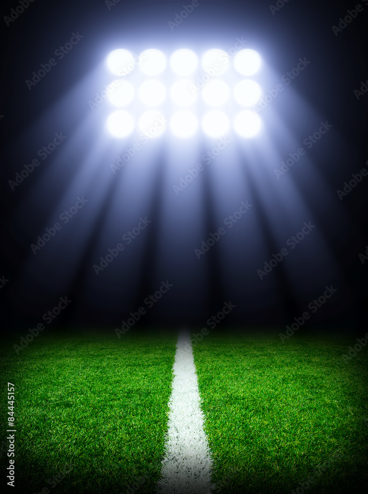 Fototapeta premium stadium