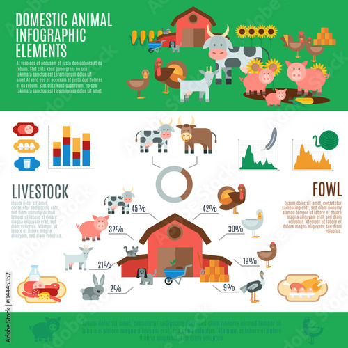 Domestic Animals Infographics