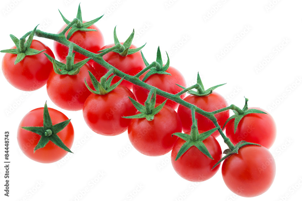 Cherry tomatoes with a branch isolated on white Cherry tomatoes with a branch isolated on white
