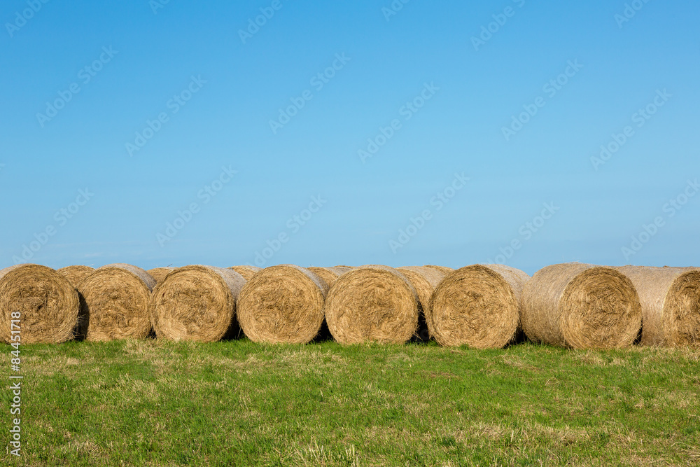Hay Bales in Afternoon Sunshine against Horizon Landscape Hay Bales in Afternoon Sunshine against Horizon Landscape
