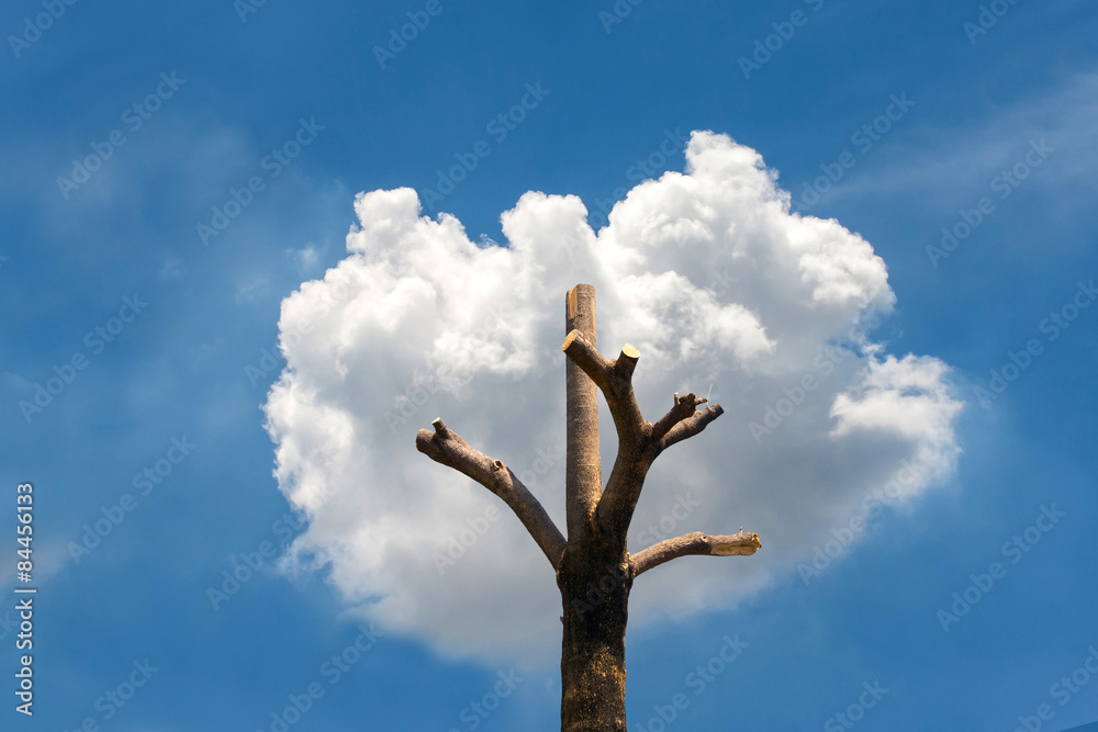 tree shape from the tree stump and clouds. tree shape from the tree stump and clouds.
