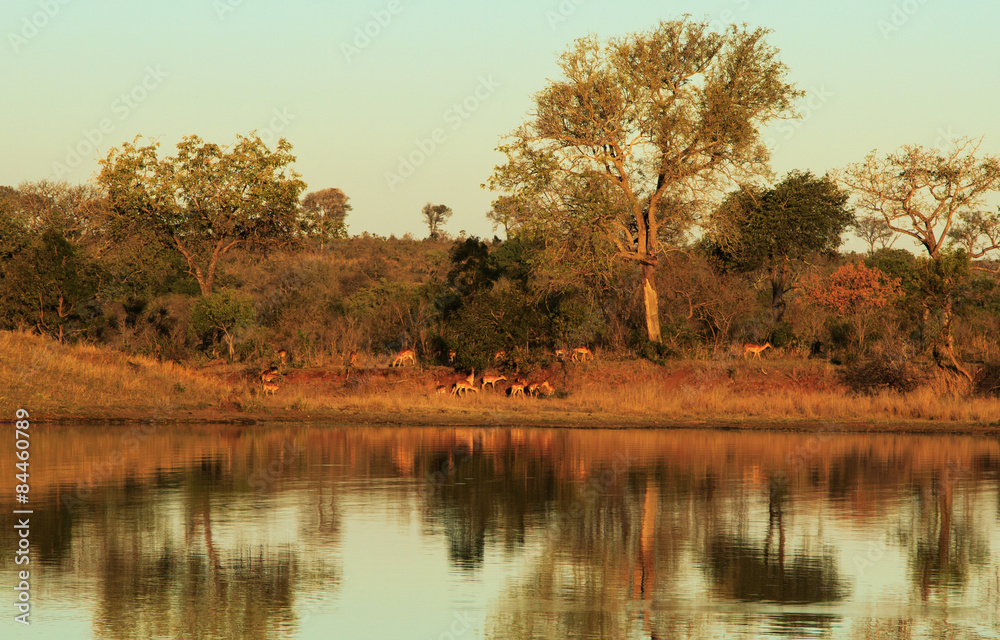 Evening landscape over water in Africa Evening landscape over water in Africa