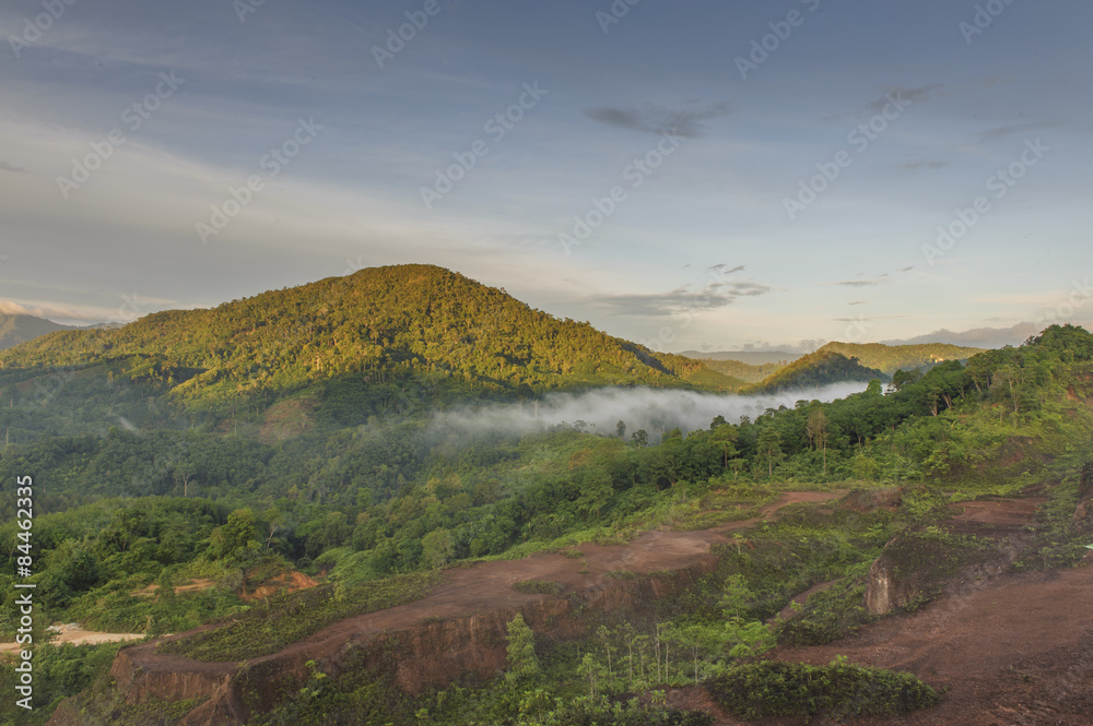 Obraz premium Krungshing fog view point/ sea of fog, at Noppitam, Nakhon Si Th