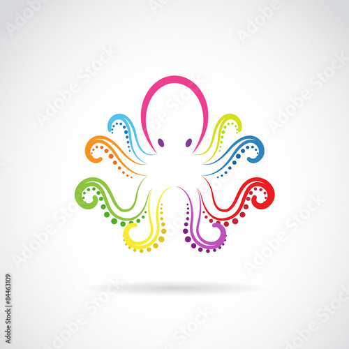 Vector image of an octopus design on white background.