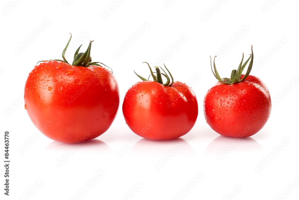 fresh tomatoes isolated on white background fresh tomatoes isolated on white background