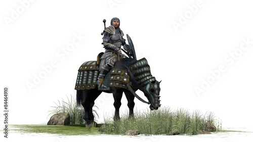Knight on horse isolated on white background