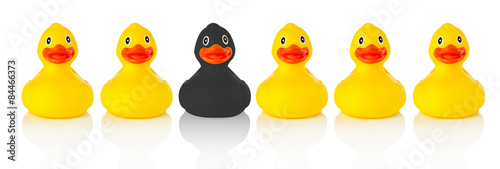 Tableau sur toile Black rubber duck in a row of yellow rubber ducks