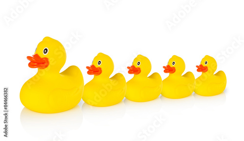 Canvas Print Mother rubber duck leading several rubber ducklings