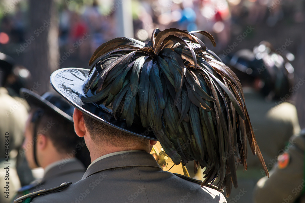 Foto Stock Cappello da Bersagliere con piume di gallo cedrone | Adobe Stock