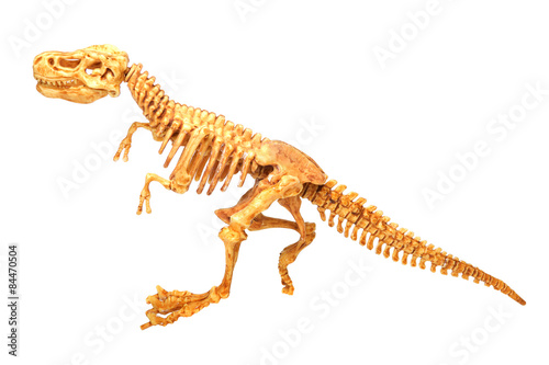 T-Rex dinosaur skeleton white