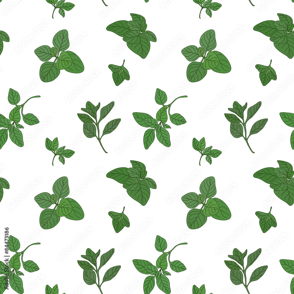 Oregano seamless pattern Oregano seamless pattern