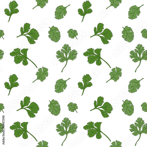 Cilantro seamless pattern