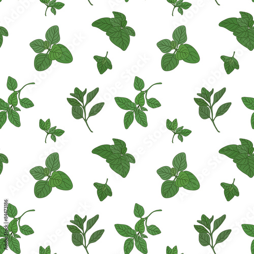 Oregano seamless pattern