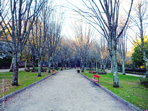 Fototapeta Naklejka Na Ścianę i Meble -  Jardim com bancos vermelhos