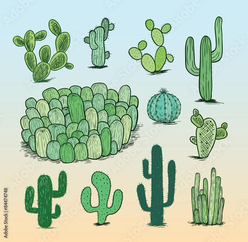 cactus collection,Vector illustration.