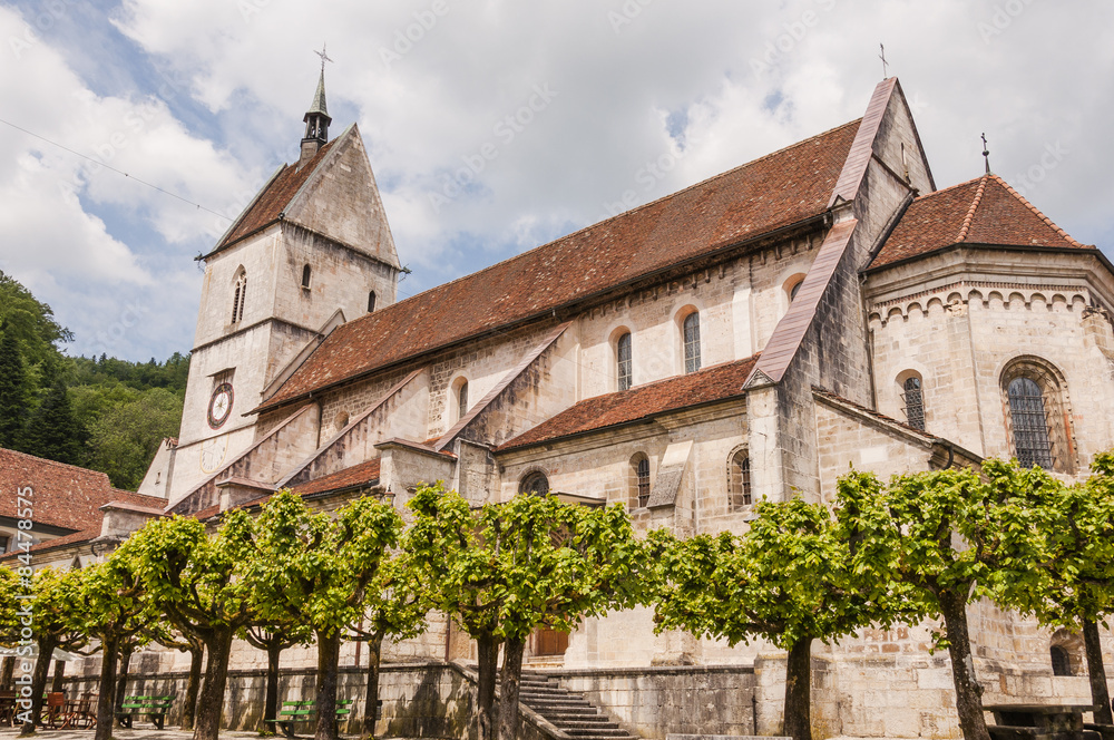 Saint-Ursanne, St-Ursanne, historische Altstadt, Stadt, Stiftskirche, Jura, Frühling, Schweiz