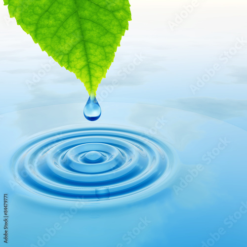 Green leaf with water drop and ripple