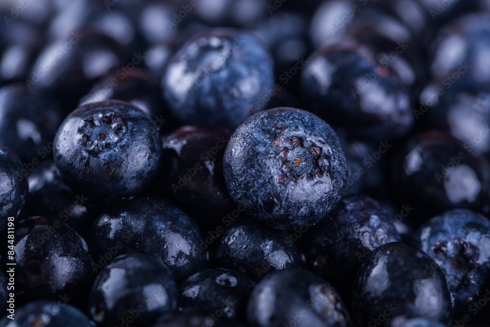 Blueberry, Fruit, Berry. Blueberry, Fruit, Berry.