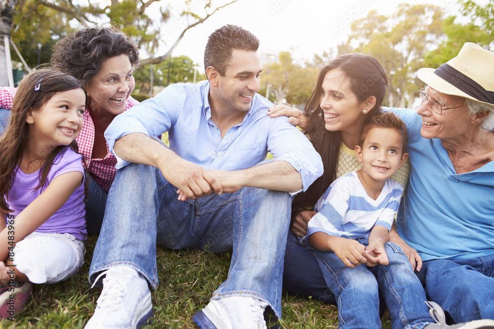 Multi Generation Family Sitting In Park Together Multi Generation Family Sitting In Park Together