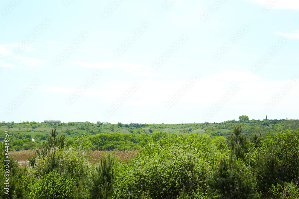 Beautiful view of forest grove over blue sky background