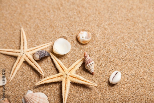 Shell, Sand, Starfish.