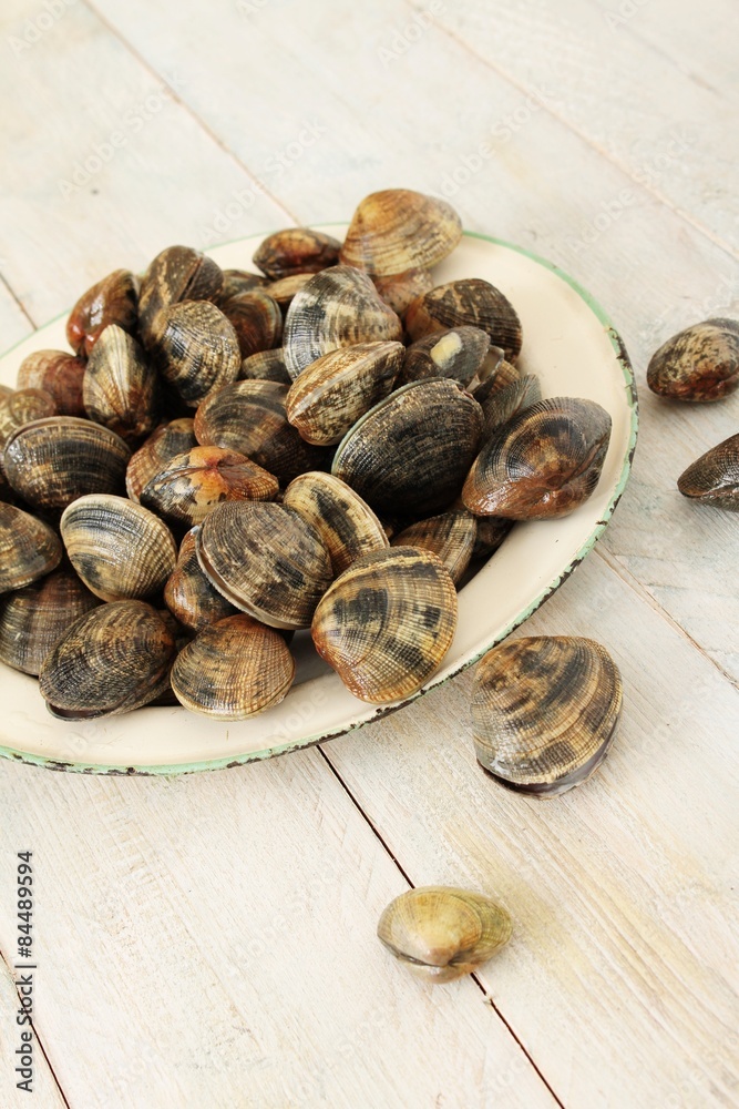 fresh clam shell fish