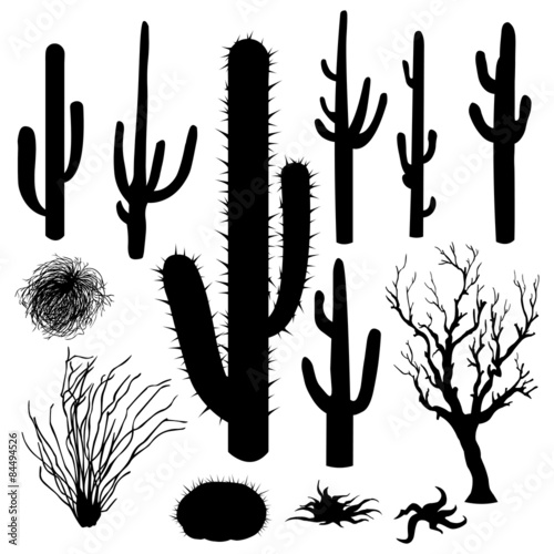 vector set of Silhouettes of cacti and other desert plants photo