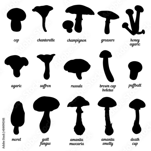 vector set of mushrooms silhouettes