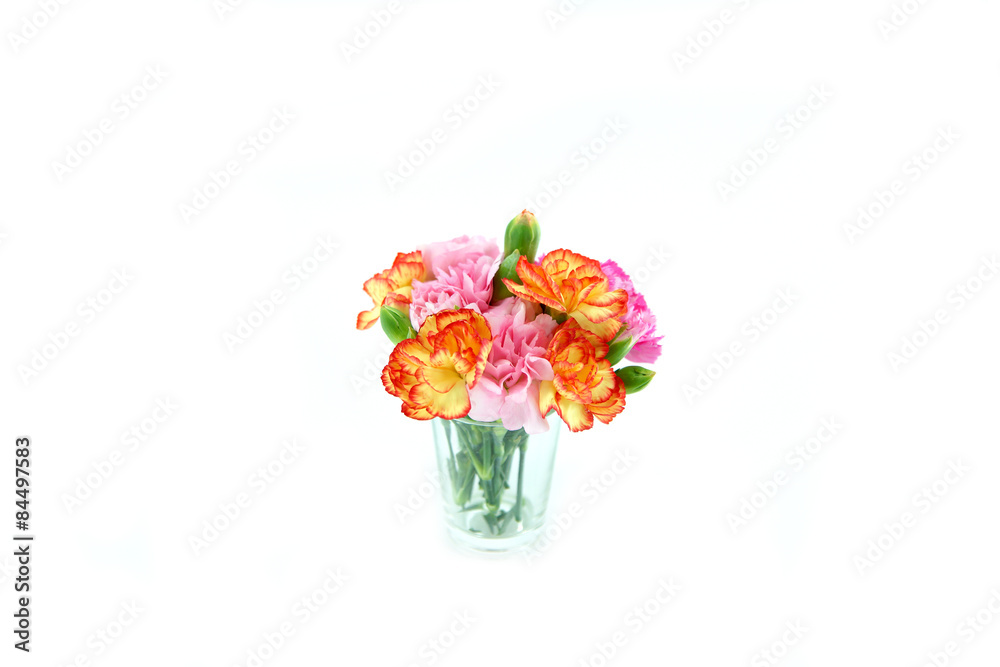 Smaller carnations on a white background  for mother's day.