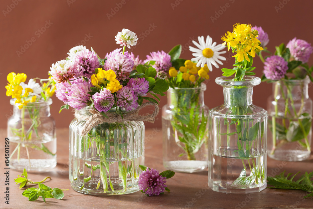 colorful medical flowers and herbs in glass jars