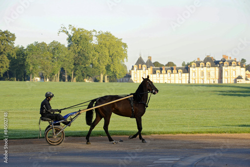 Bilde på lerret entrainement de chevaux à grosbois